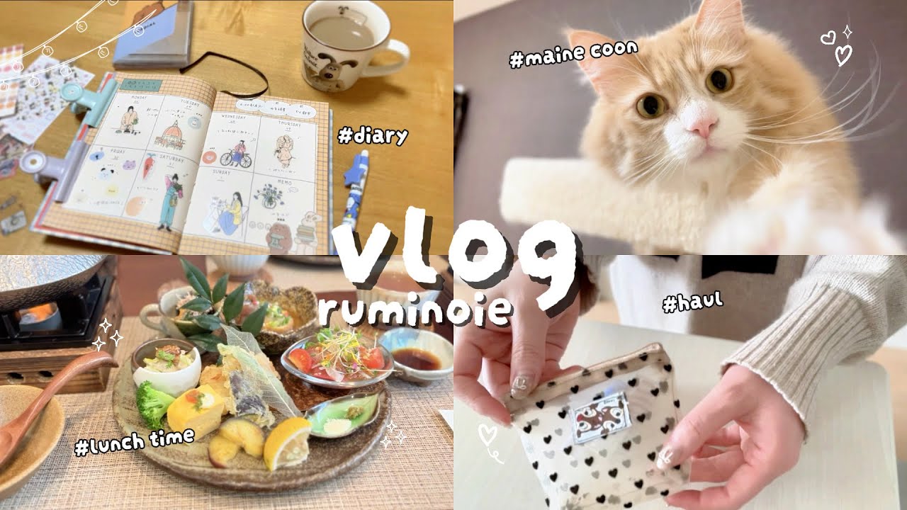 Cozy Life with my Cat 🐈100均のお気に入りと、猫と過ごすしなやかな暮らし｜Vlog