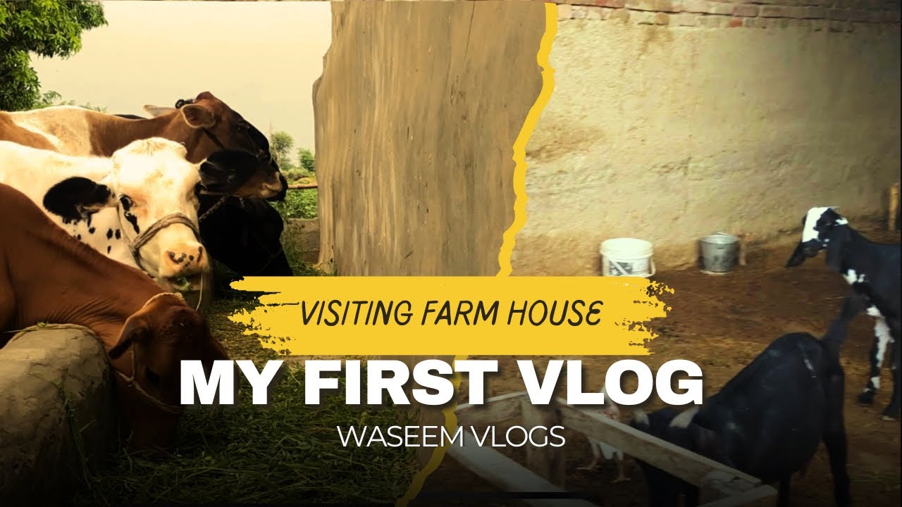 My First Vlog | Visiting Farm House | Waseem Vlogs