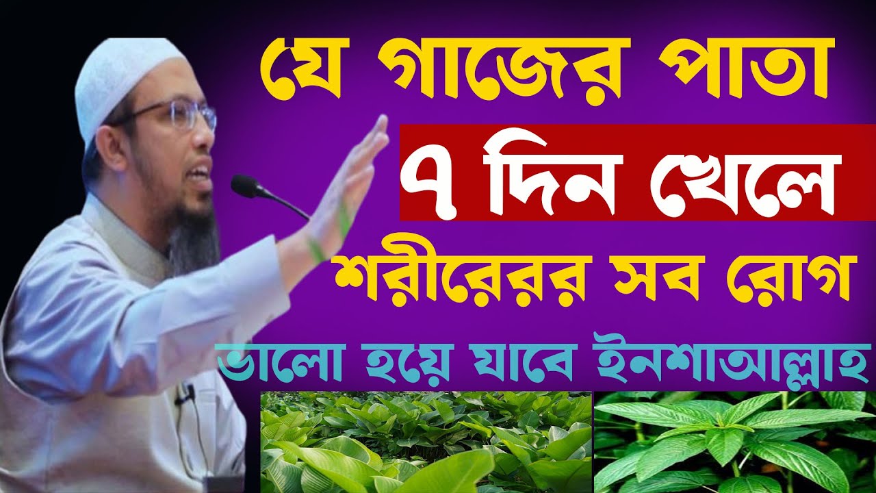 যে গাছের পাতা ৭দিন খেলে শরীর ভালো হয় । শায়খ আহমাদুল্লাহ sheik ahmadullah 14-02-26 kutwglsiouy