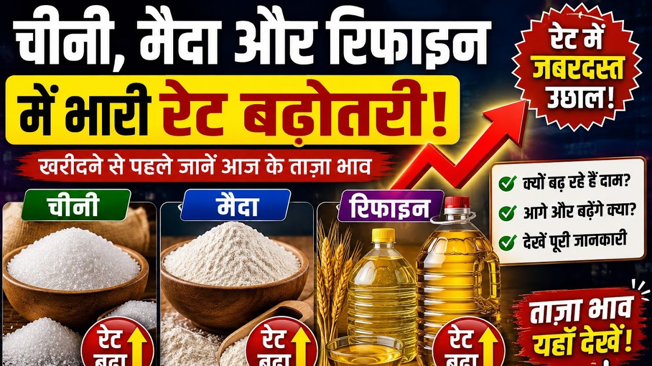 चीनी का होलसेल भाव, Refine Wholesale Price मैदा का होलसेल भाव, Sugar ka Wholesale Price #refineoil