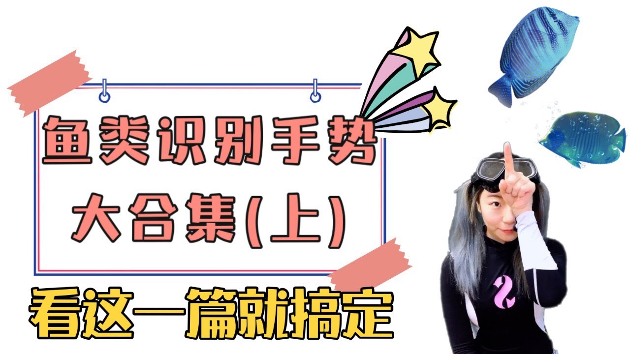 潜水手势之鱼类识别手势大合集（上）你知道的和不知道都在这里，看着一篇就够啦How many Diving signals do U know? -  fish signals
