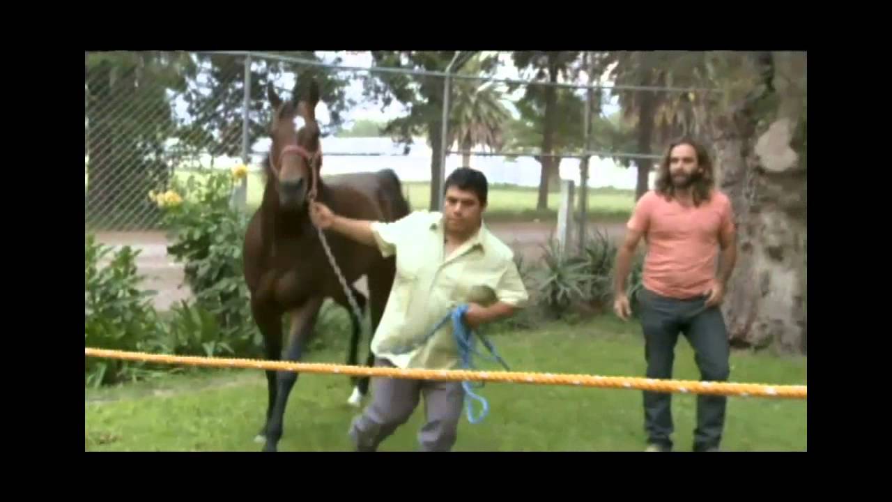 El Domador De Caballos · Allens Cash