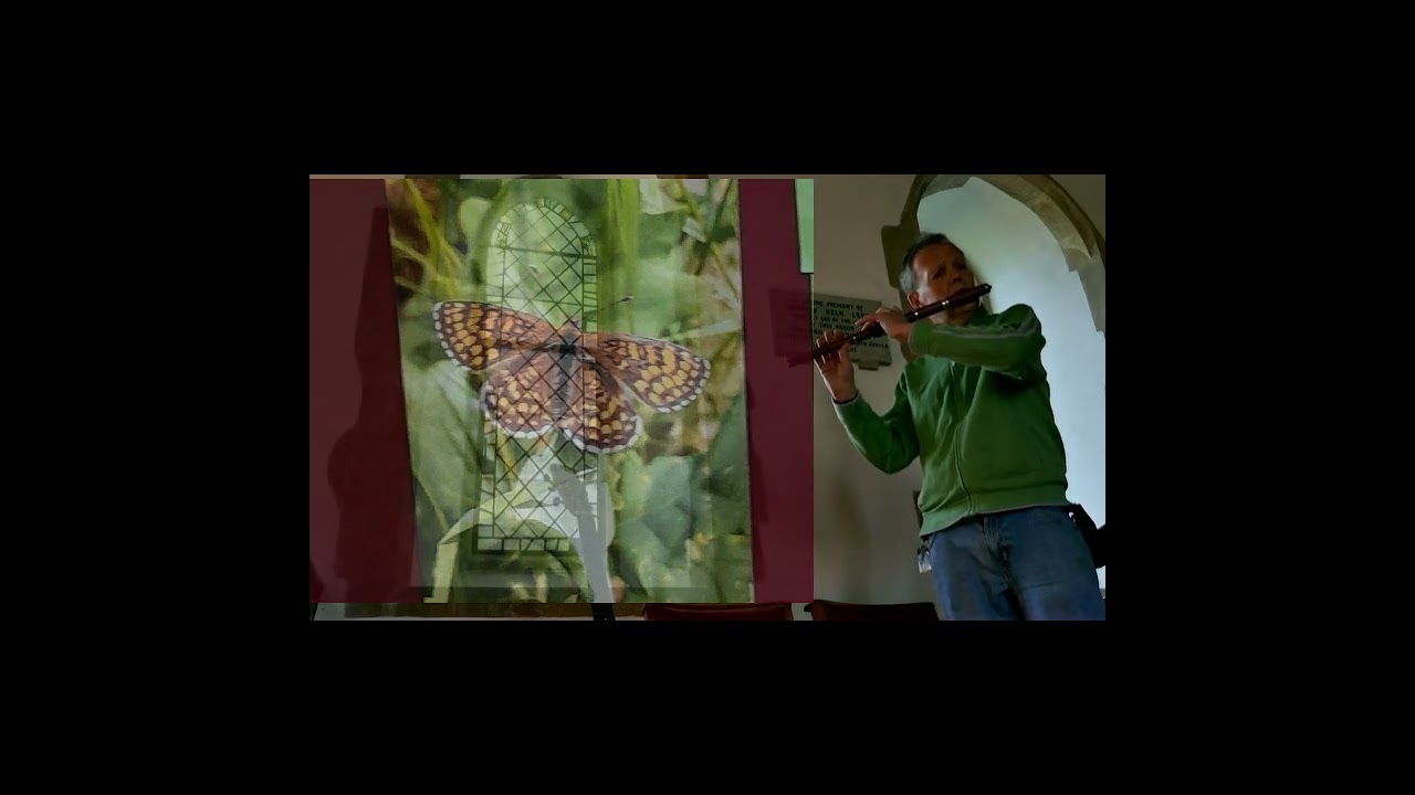 The Butterfly (trad) & Jackie Tar (trad arr. Nic Jones)
