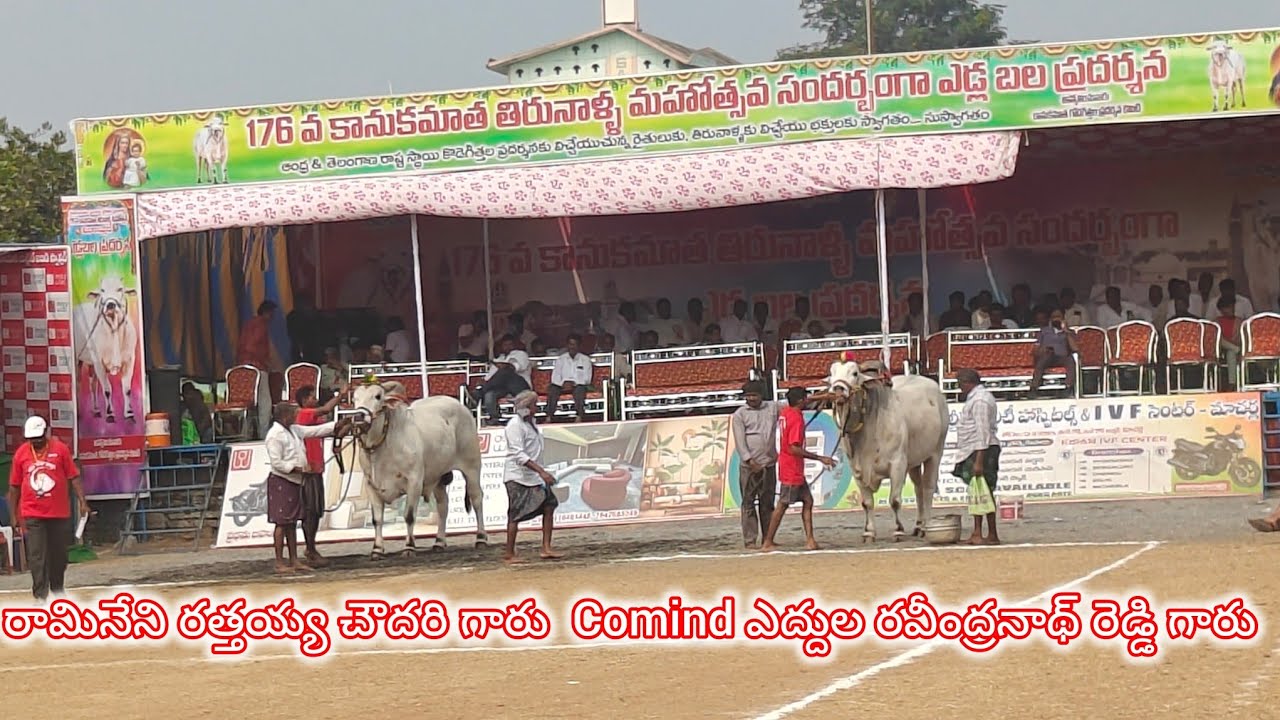 రెంటచింతల న్యూ కేటగిరి 7వ.రామినేని రత్తయ్య చౌదరి గారు  Comind ఎద్దుల రవీంద్రనాథ్ రెడ్డి గారు  