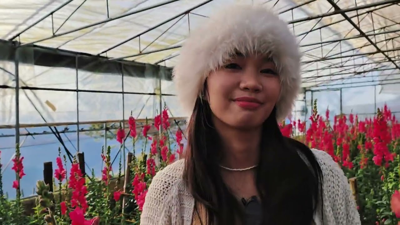 Northern Blossom