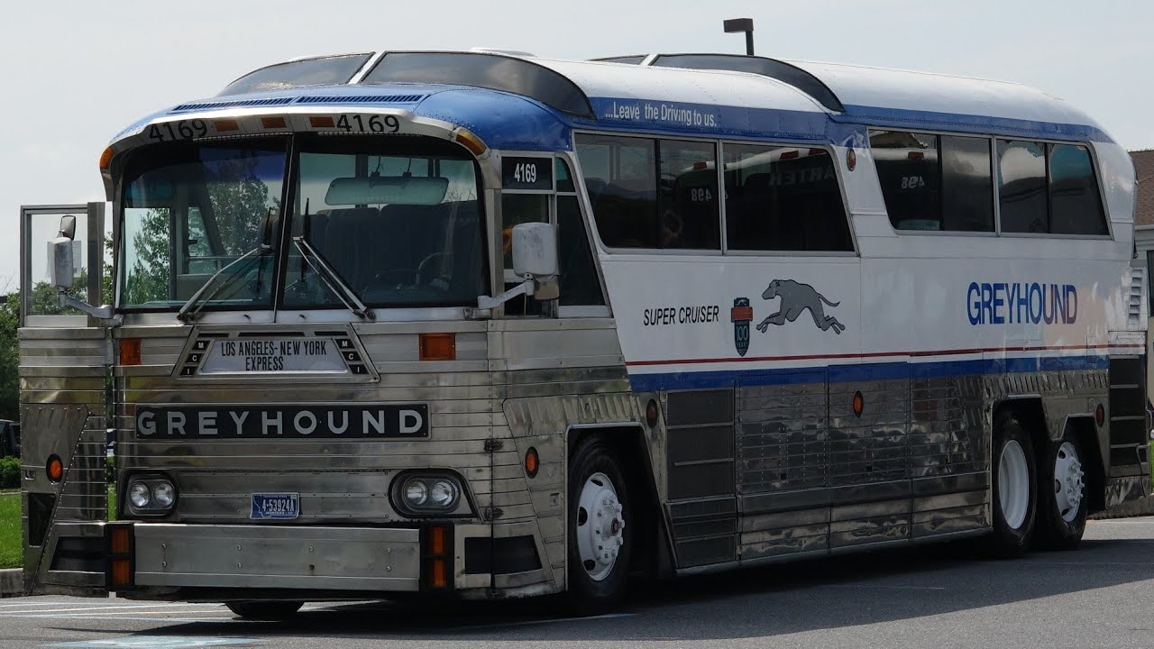 Amazing Bus 