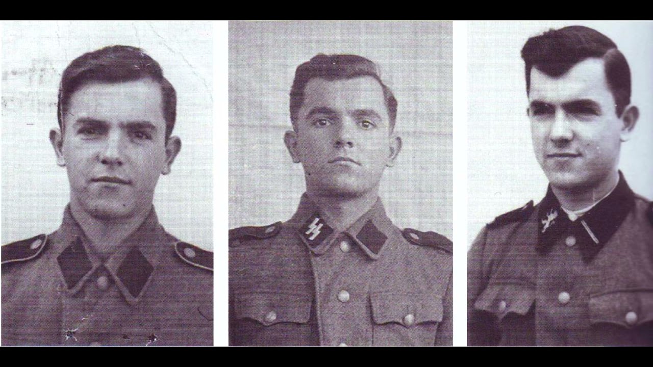 Кто имел право носить руны Зиг на петлицах? / Who had the right to wear Zig runes?