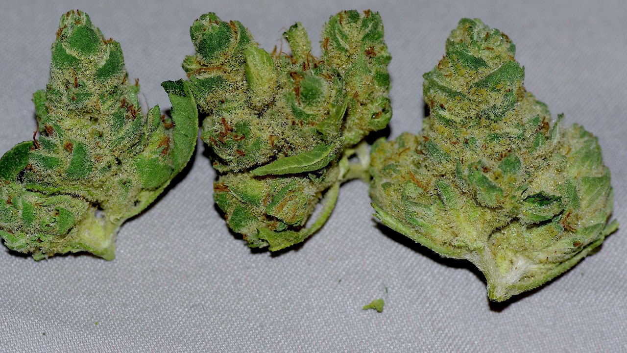 Rythm Strawberry Kush Review