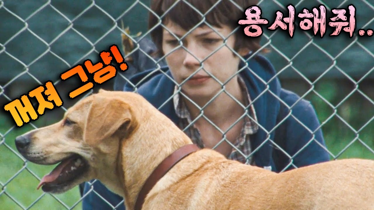 (개슬픔💦) 노숙자가 키우던 반려견이 부잣집에  입양되면 벌어지는 일들!! [영화리뷰/결말포함]
