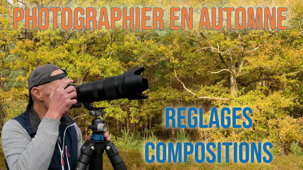 Photographier la for&ecirc;t en automne 🍂 | R&eacute;glages, compositions et astuces en lumi&egrave;re voil&eacute;e