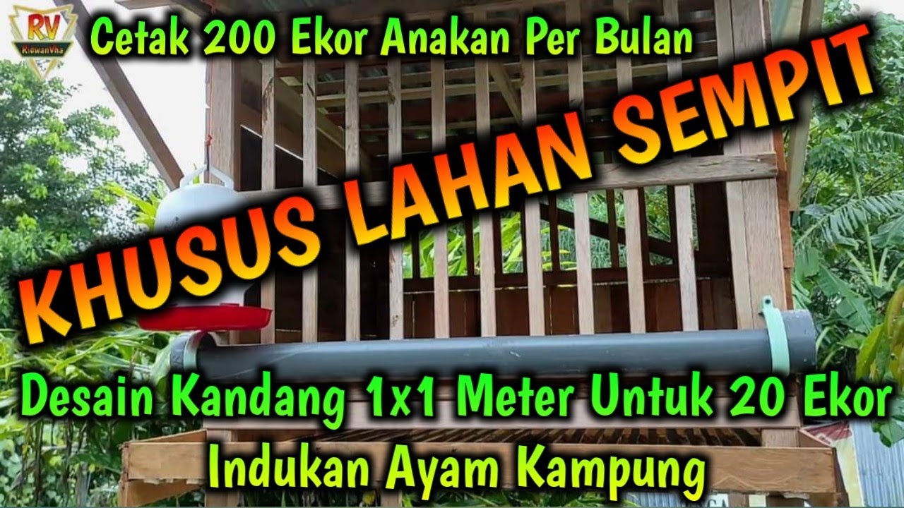 Desain Kandang 1x1 Meter Untuk 20 Ekor Indukan Ayam Kampung KHUSUS LAHAN SEMPIT