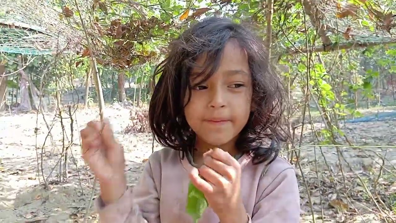 সিম ক্ষেত থেকে সিম উঠালাম BD Simple life reels video vlog