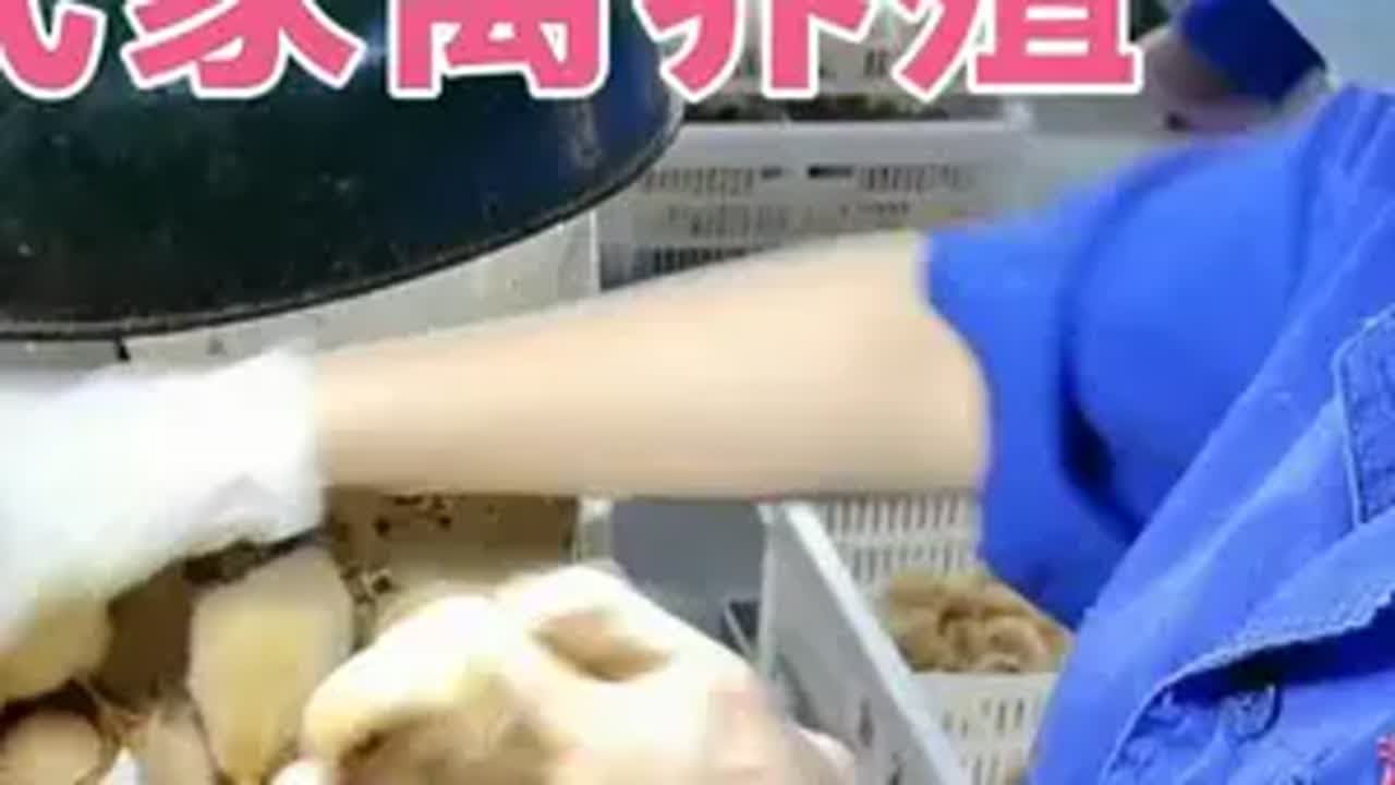 走进温氏家禽养殖场，看小鸡从孵化到出苗过程 温氏集团，享誉国内外的畜禽养殖企业，看温氏的养鸡场，令人眼前一亮温氏养鸡