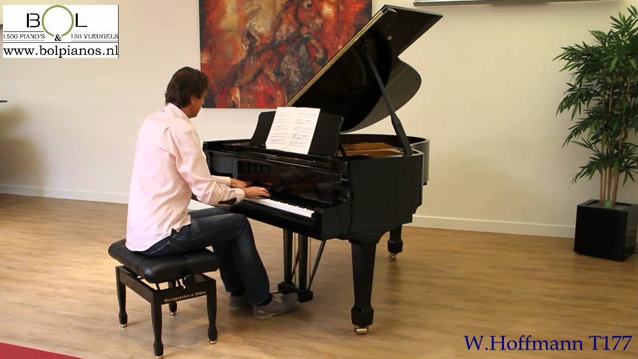 W. Hoffmann T 177 klassiek