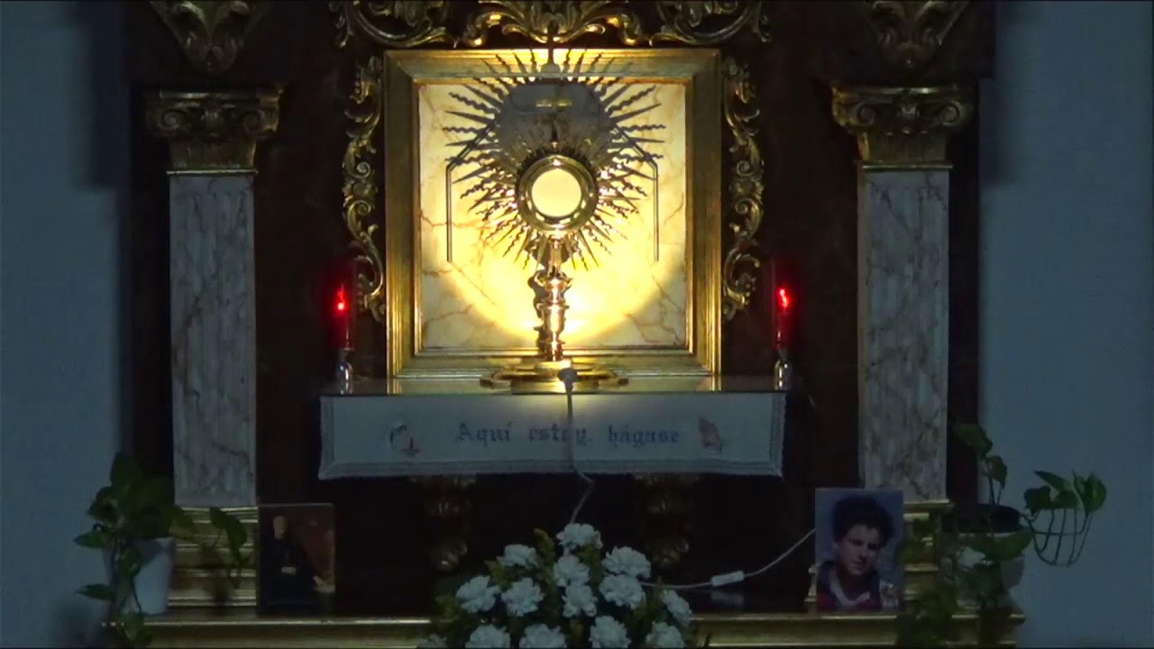 ADORACIÓN EUCARÍSTICA PERPETUA