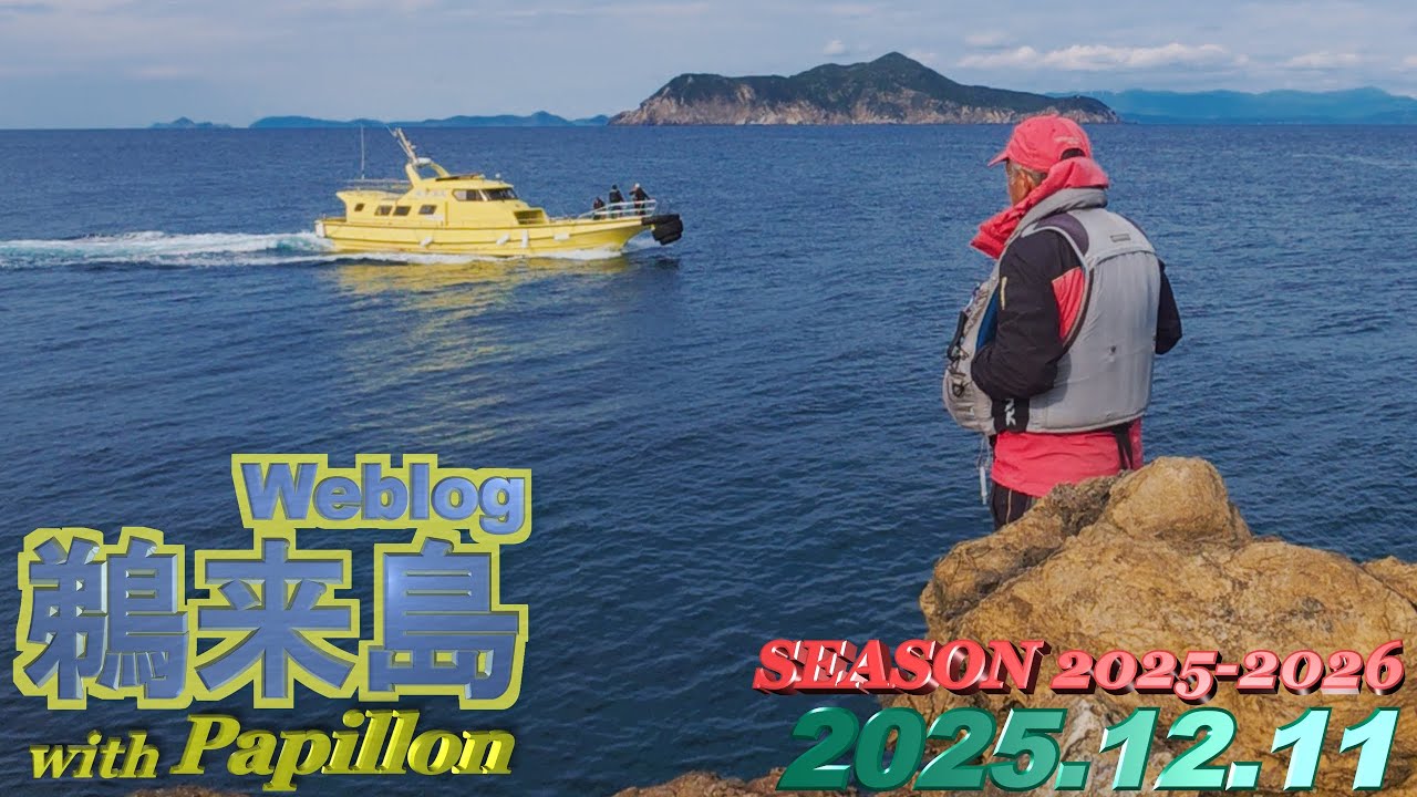 鵜来島 2025年12月11日 (木)