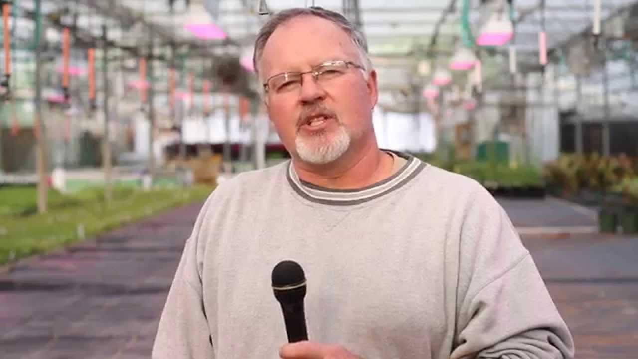 Greenhouses Achieve Improved Growth With Total Grow Light Technology