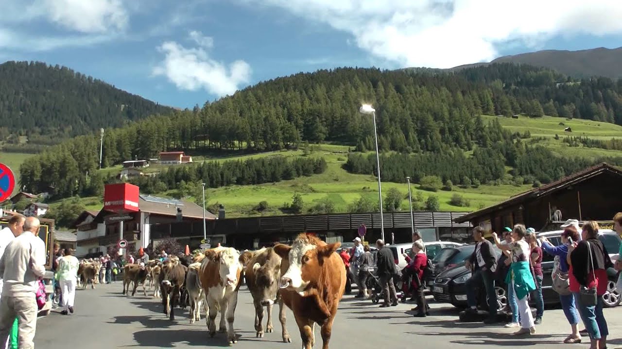 Almabtrieb Nauders 2014