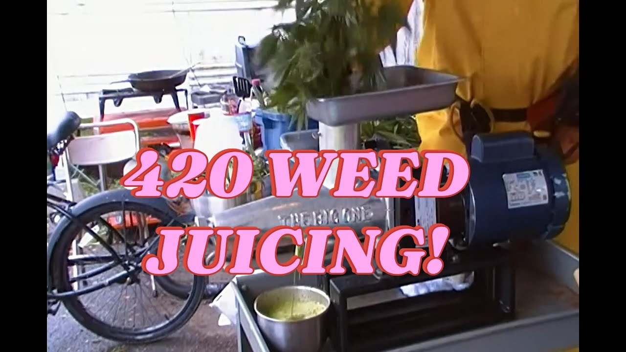 Marijuana weed juicing for CBD health benefits - fall 2023- OR Coast.