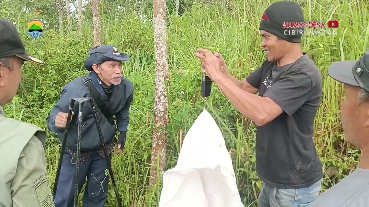 PANEN JAGUNG SERENTAK KWARTAL 1 BERSAMA POLSEK CILEUNYI... 30/01/2026