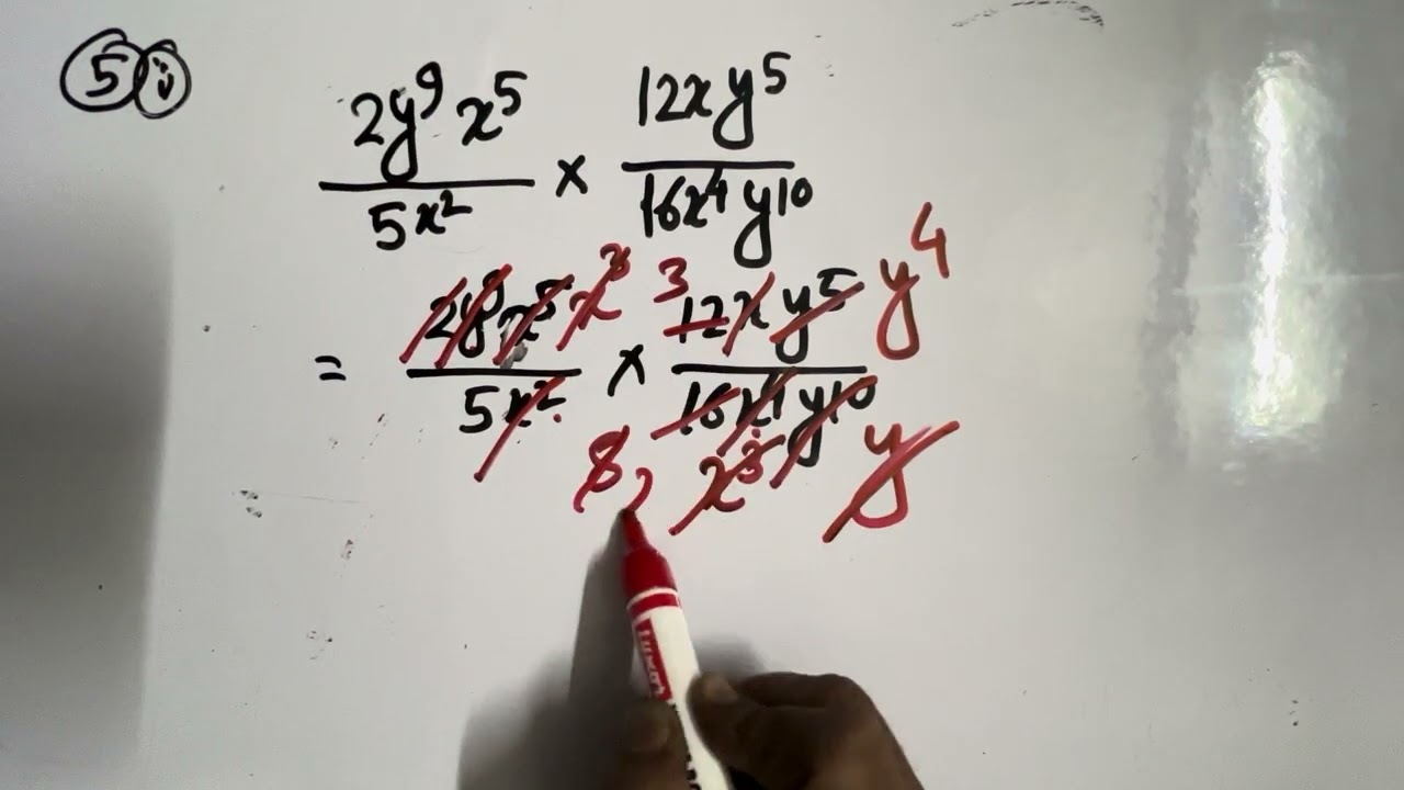 Class 8 math | বীজগণিতের ভাগ ❤️ | কষে দেখি 2 .1 | Page 49 |Question no : 5|WBBSE