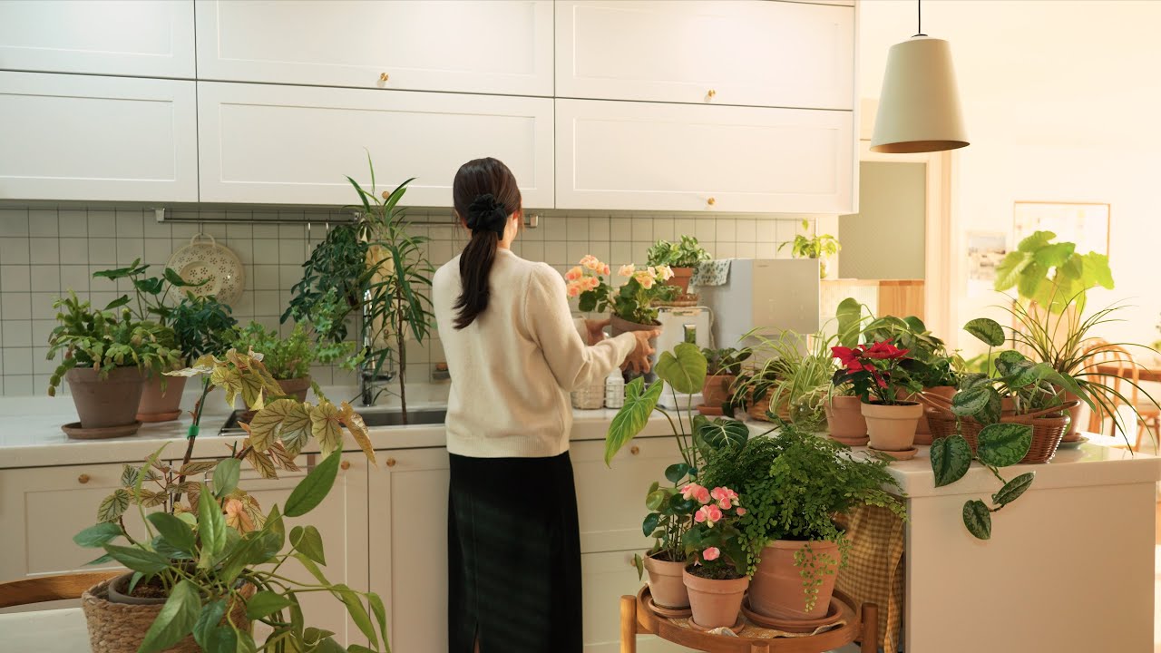 Тихий зимний день, посвященный уходу за растениями и домом 🌿