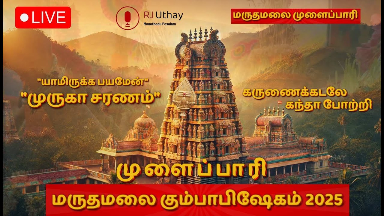 மருதமலை கும்பாபிஷேகமுளைப்பாரி 2025 #maruthamalai #maruthamalaikudamuzhukku #maruthamalaikumbabisekam