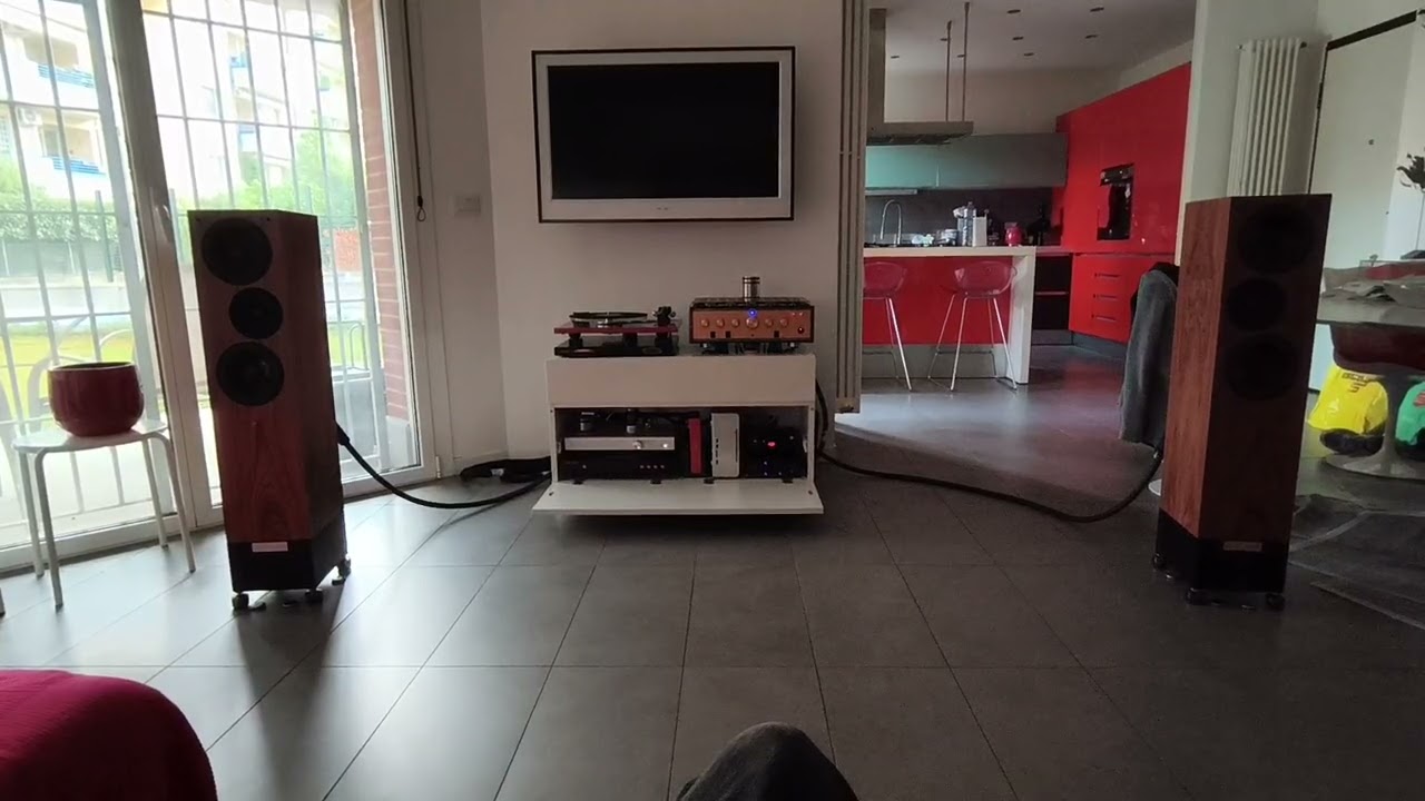 Living Voice IBX-R2 - Leben CS600 - Schiit Freya - Holo Spring 3 KTE - Holo Red - Peg Steely Dan