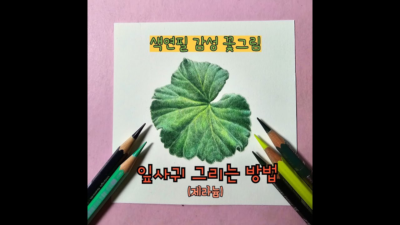 색연필로 쉽지만 사실적으로 잎사귀 그리는 방법(제라늄) / How to draw leaves with colored pencils