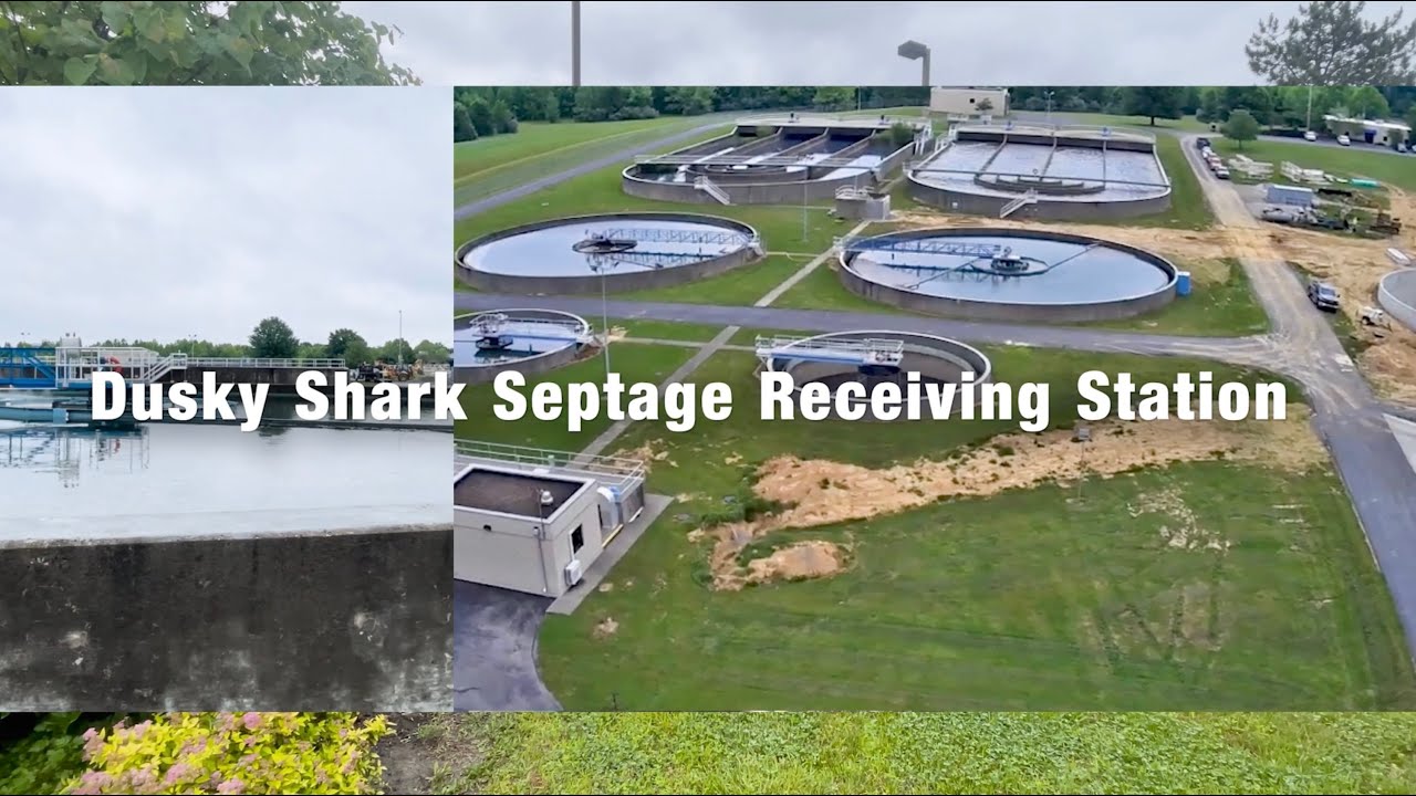 Septage Receiving Station - SRS - Dusky Shark
