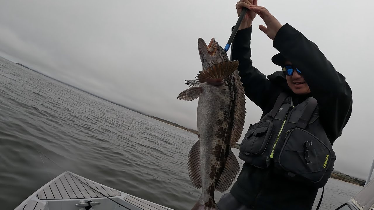 Quick Rockfish Limits + BIG Halibut