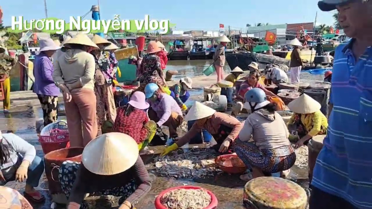 Khi tàu đánh cá vào bờ Vàm láng 