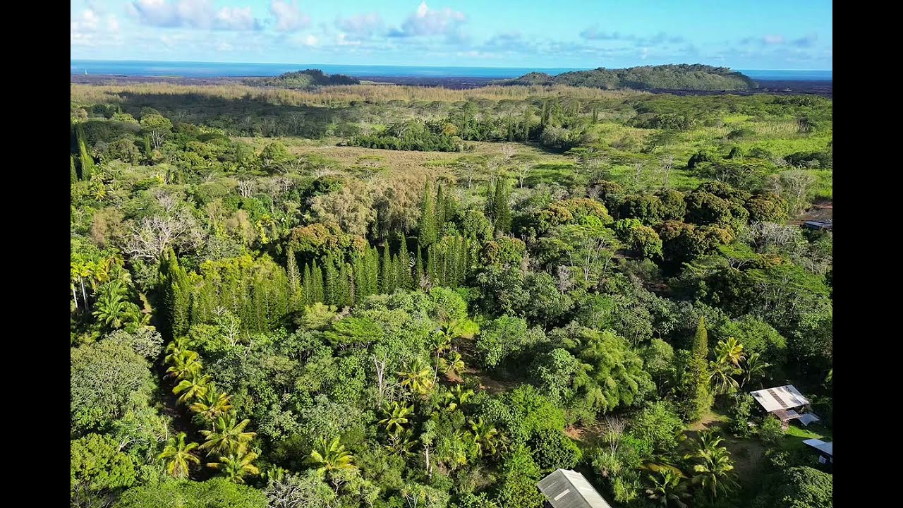 Hawaii Real Estate - 3 Acres of Paradise – Papaya Farms Rd, Pāhoa (MLS 724701)