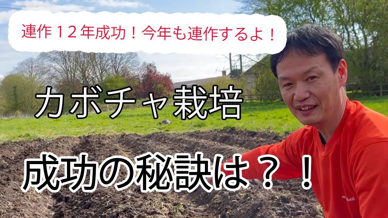 【自然栽培127】連作13年カボチャ種まき！！何か秘訣はあるのかな？！ニンニク、草マルチするよ！