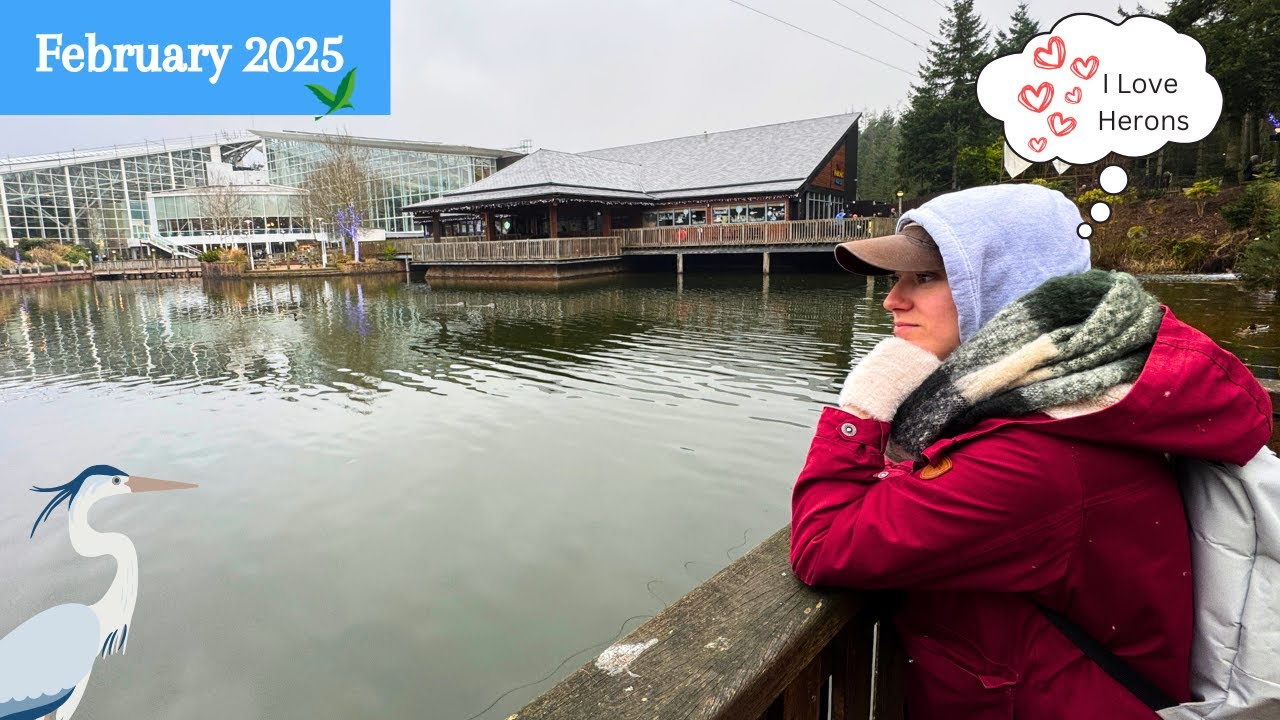 Center Parcs | Whinfell Forest | February 2025 | Winter Forest Lights