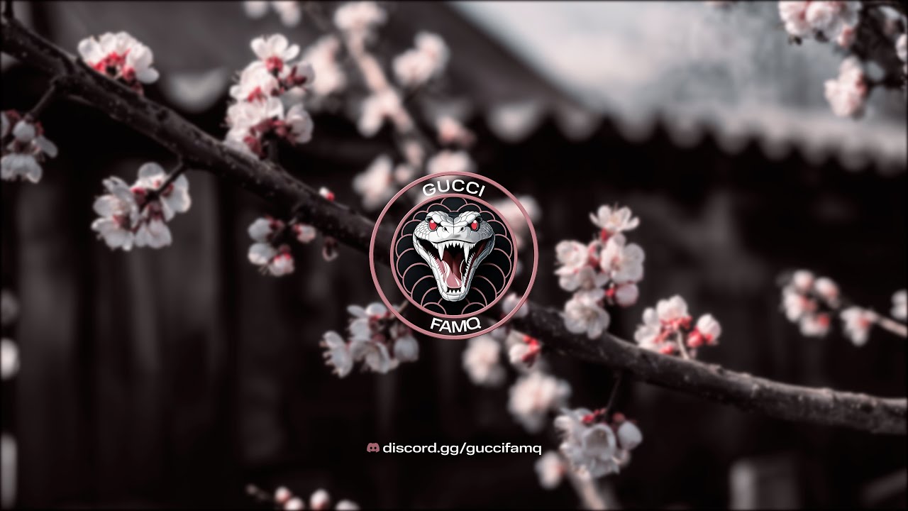 новый сервер??? // gucci famq