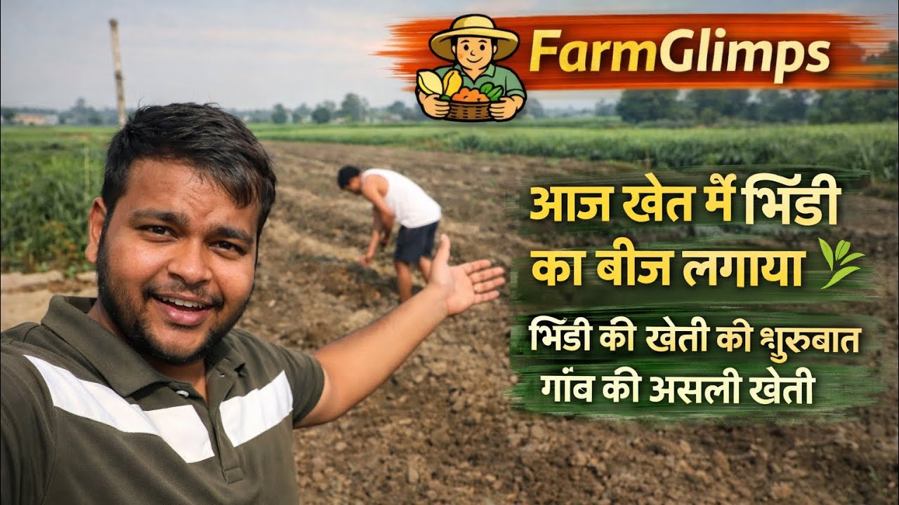 आज खेत में भिंडी का बीज लगाया 🌱 | भिंडी की खेती की शुरुआत | गांव की असली खेती | FarmGlimpse