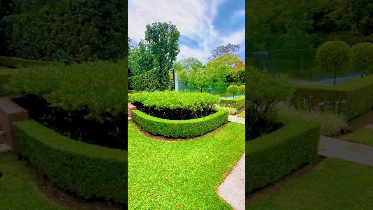 Best hedge trimming tools for beginners | hedge cutting process part 12 #shorts