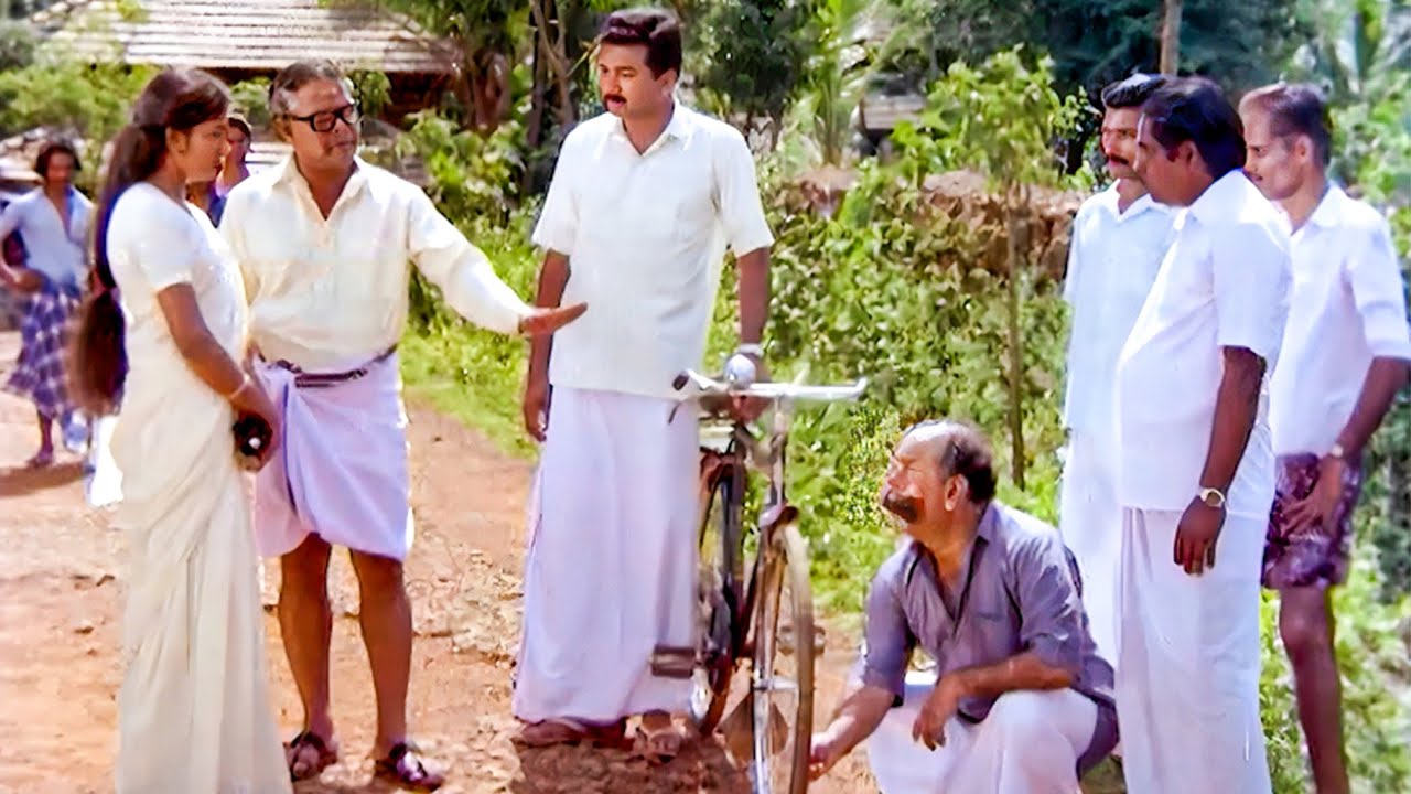 ചിരിയുടെ നാടന്‍ കാഴ്ചകളുള്ള അന്തിക്കാടന്‍ ഫ്രെയിമുകള്‍😍👌Evergreen Movie Scenes | Comedy Scenes
