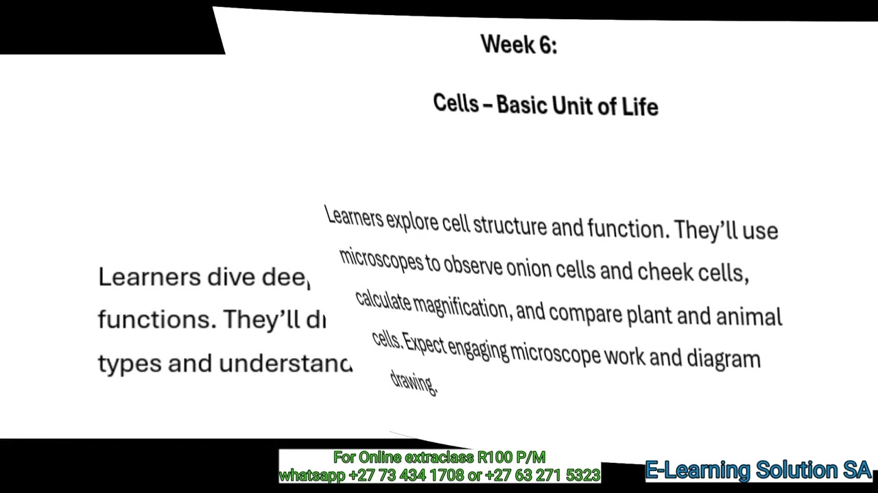 Grade 10 Life Sciences Term 1 | Scope for Test 2026