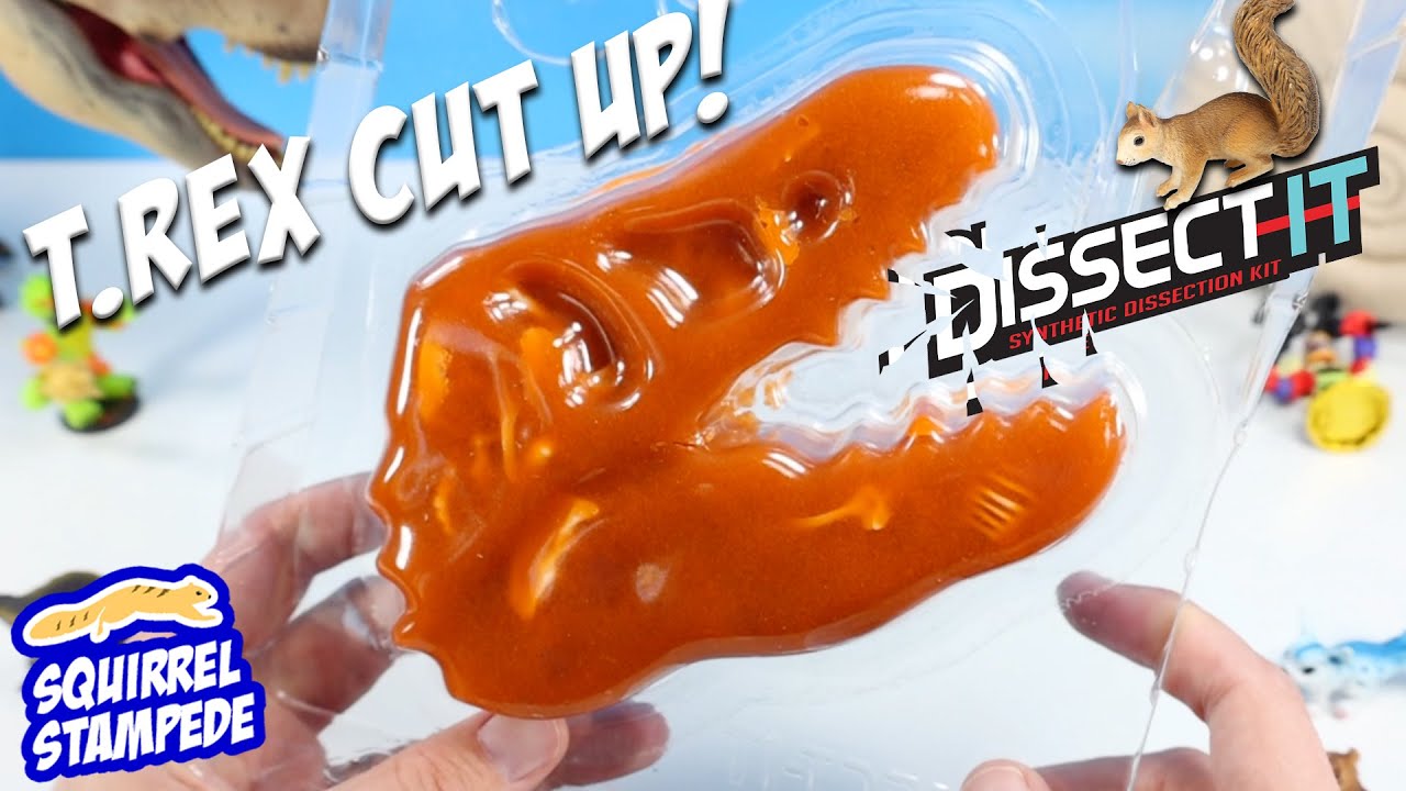 Dinosaur Dig Dissect It Lab Tyrannosaurus Rex Fossil Discover Kit Review