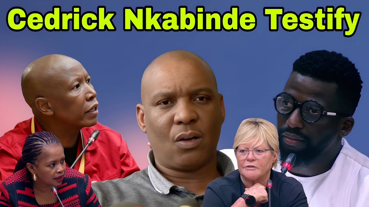 Cedrick Nkabinde Testify at Ad hoc Committee into General Mkhwanazi allegations.