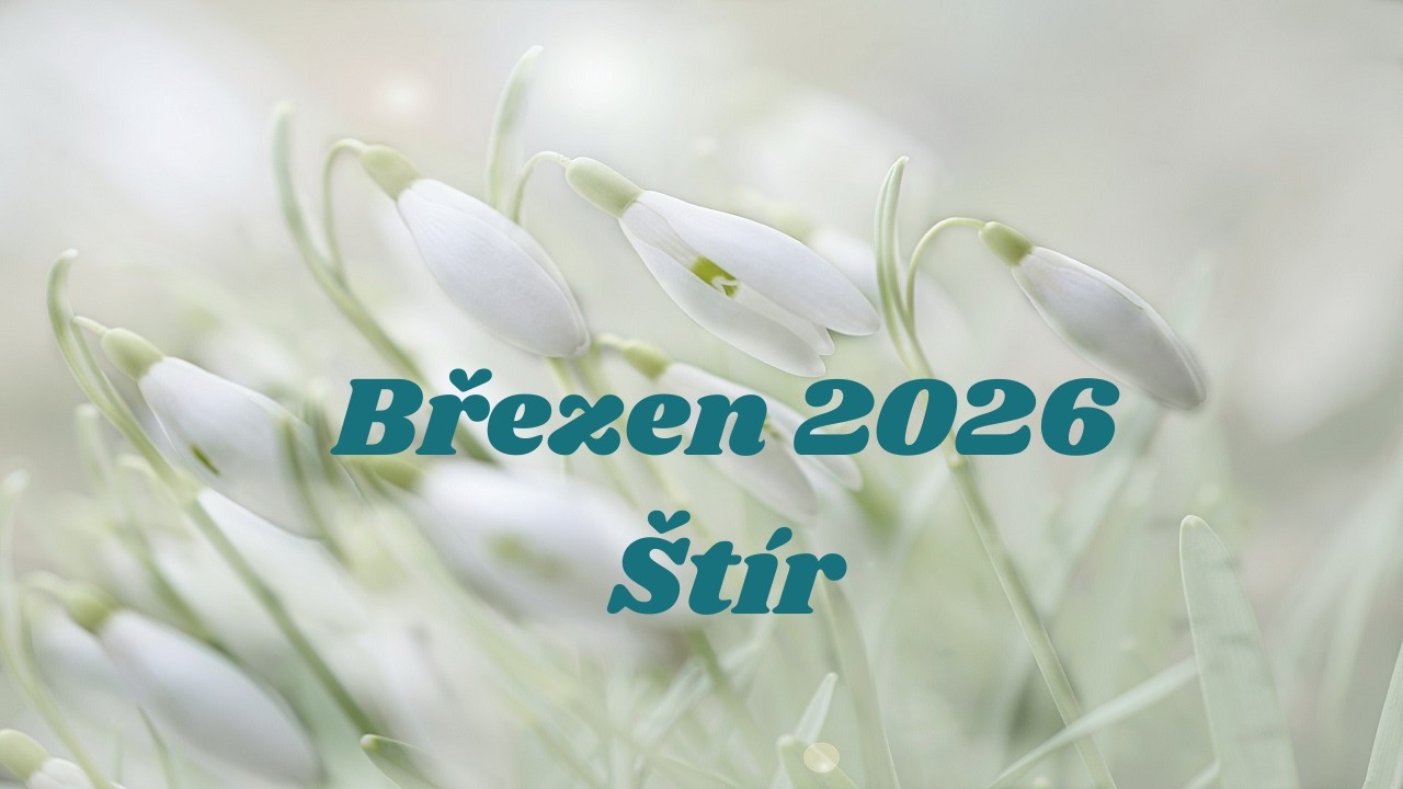 BŘEZEN 2026💗ŠTÍR💗Vnitřní proměna🌺