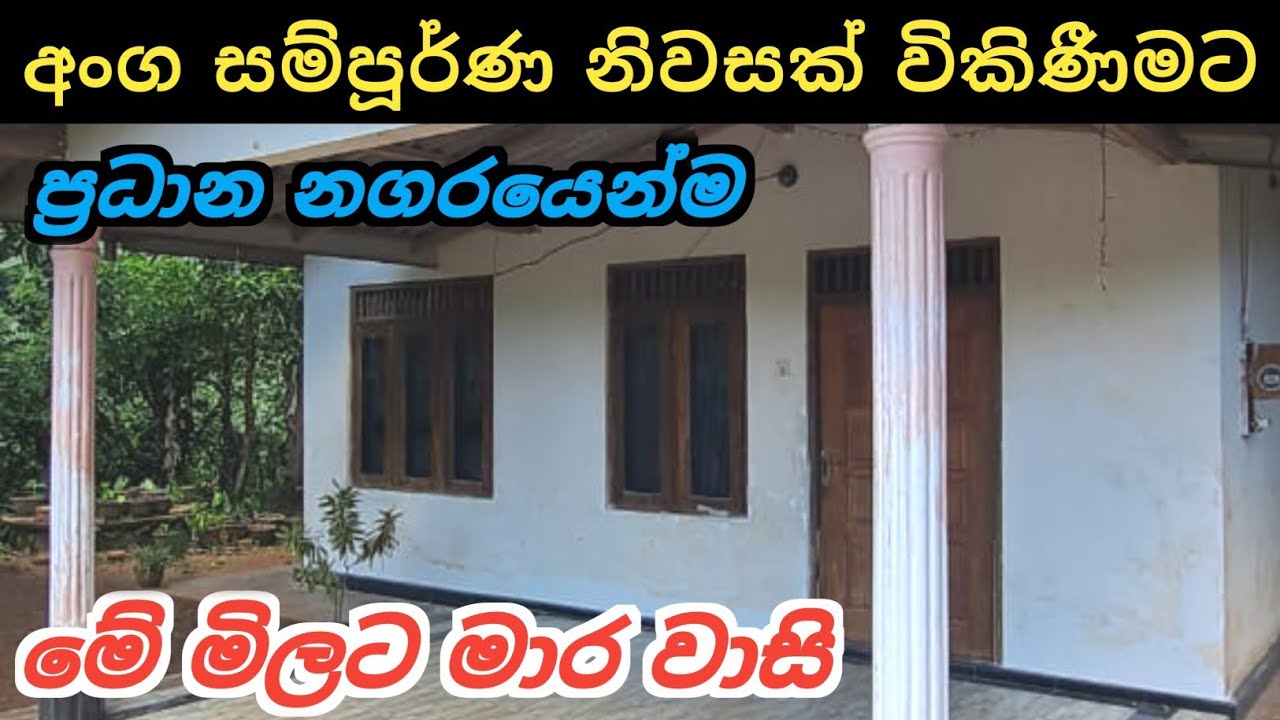 අංග සම්පූර්ණ නිවසක් | House Sale In Rathnapura | House for Sale | Ikman Selling 