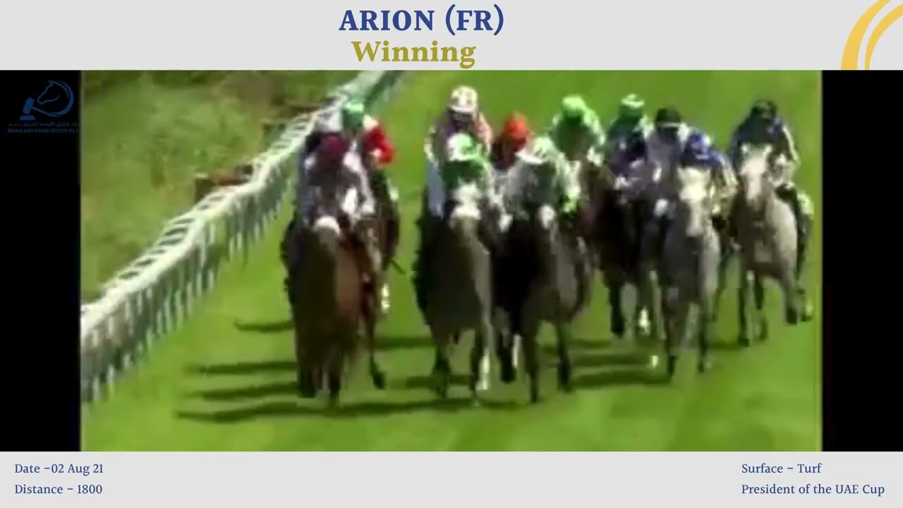 ARION (FR) Race Video