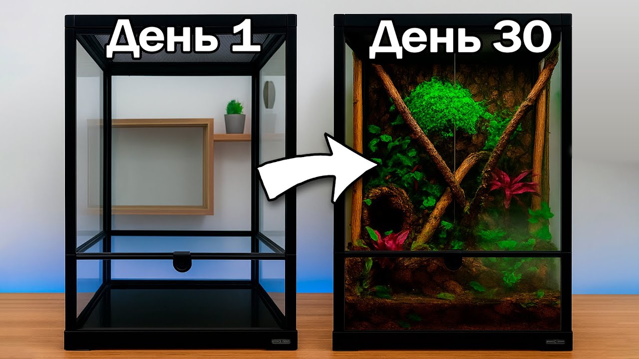 ЭКОСИСТЕМА С МНОЖЕСТВОМ ЖИВОТНЫХ. Тропический террариум для гекконов-бананоедов