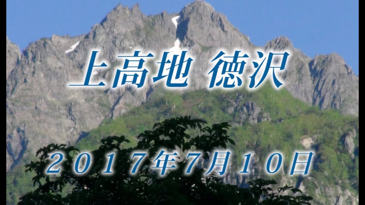 160 北アルプス上高地7月 2017年7月10日 - 生物多様性体験保全センター 高山植物を主とした野生植物の映像集