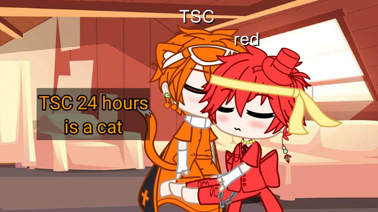 TSC 24 hours is a cat|AvM|⚠Ship⚠|