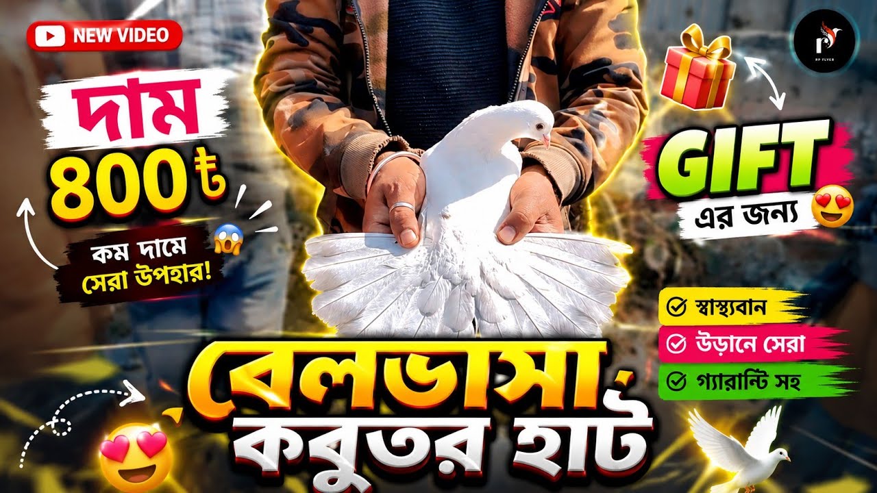 বেলডাঙ্গা কবুতর হাটে দুর্দান্ত কিছু কবুতর Some magnificent pigeons at the Beldanga pigeon market