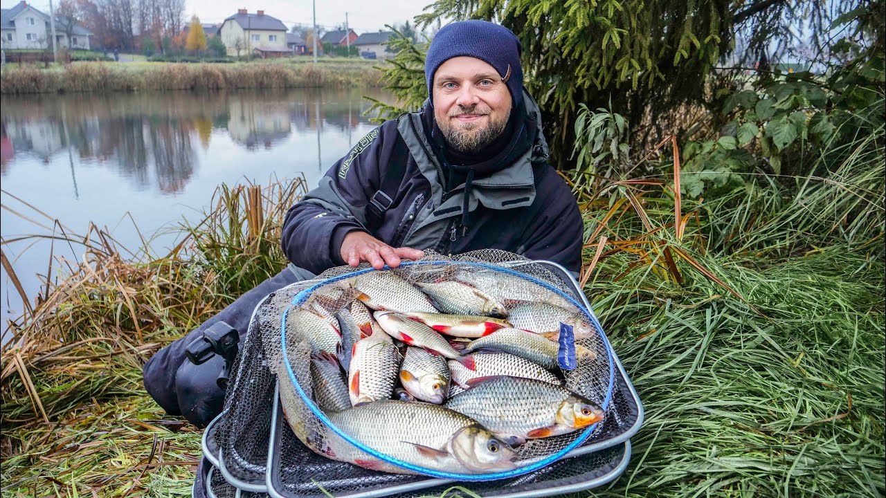 Zimowe Łowienie na feeder z chlebem tostowym – Poradnik